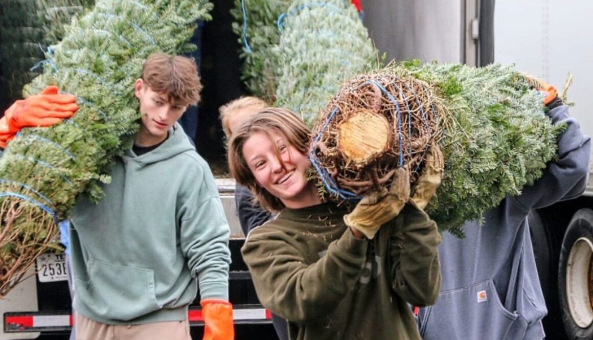 Unloading-Optimist-Christmas-trees-11-staff-photo-by-Scott-McCaffrey